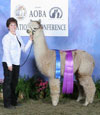1096378 - Photo 2