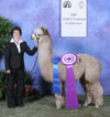 1096378 - Photo 3