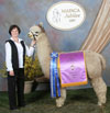 1096378 - Photo 5